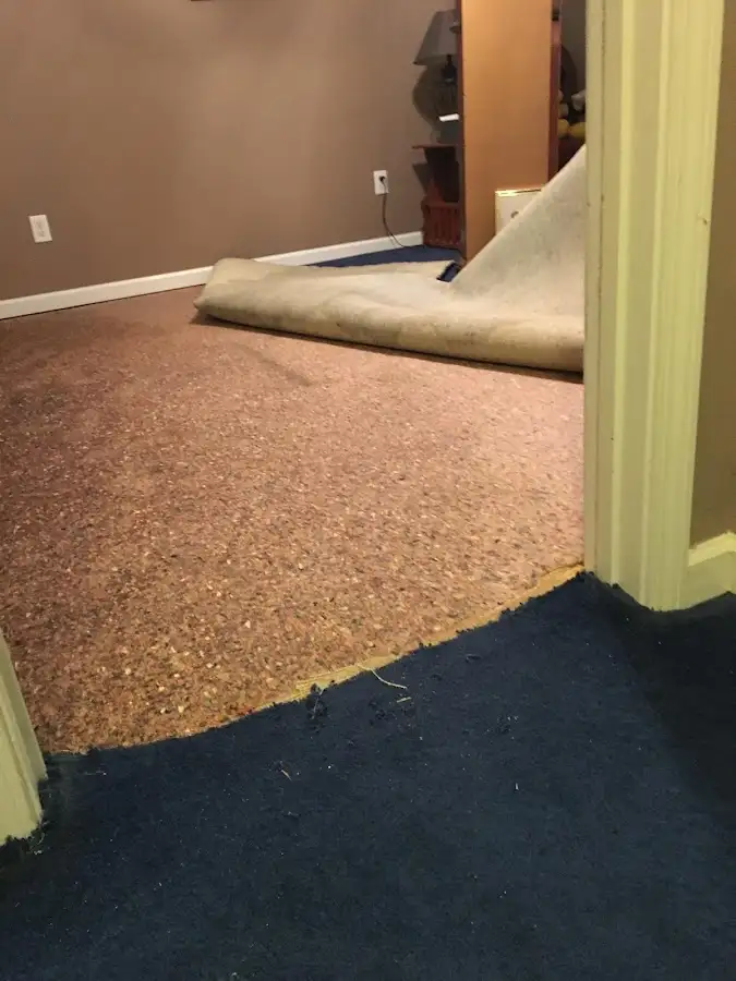 Carpet pad removal revealing water damage during Water Mitigation Services in Farr West