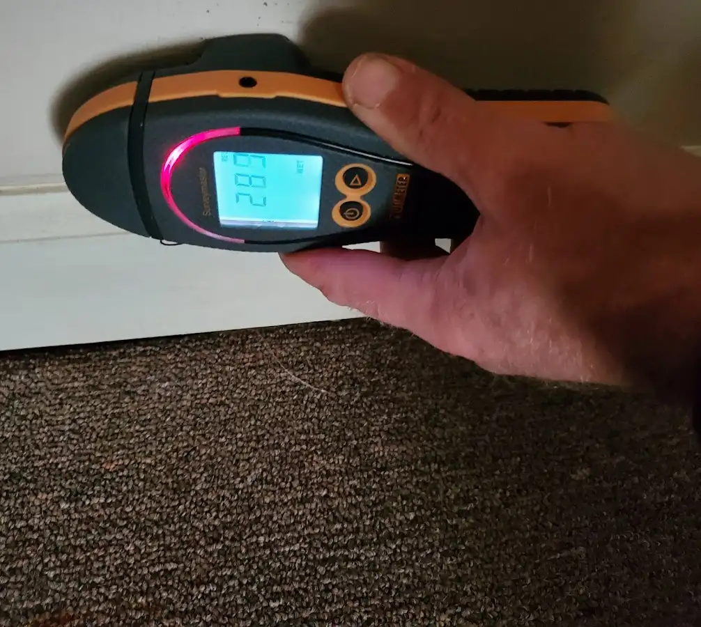 Moisture detection at baseboard during Mold Inspection & Testing in Farr West